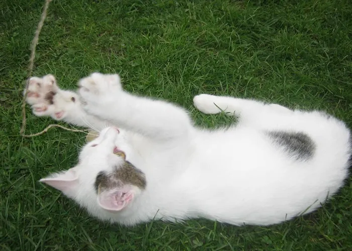 Traumblick Appartamento Fügen