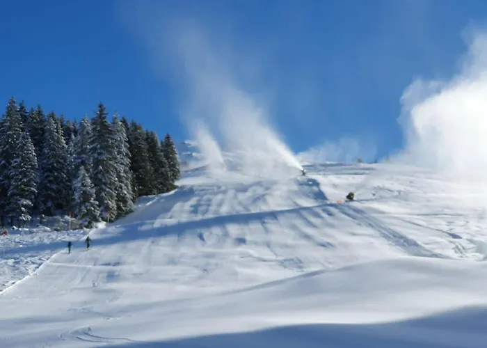 Apartment Traumblick Fuegen