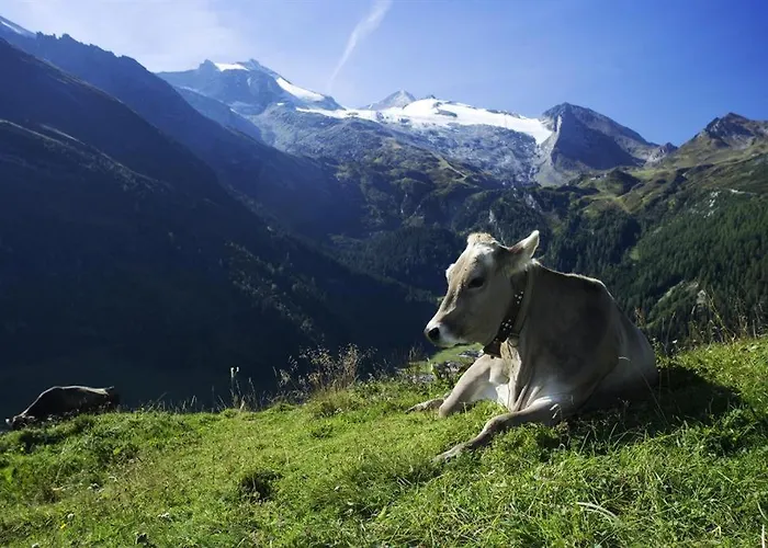 Apartment Traumblick *